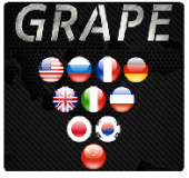 Голосовые переводчики Grape (Грейп)