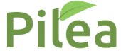 Pilea.me - доставка цветов и растений